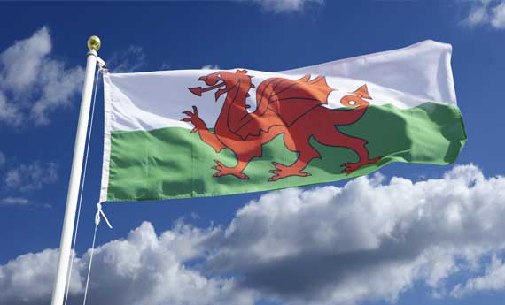 Welsh Flag